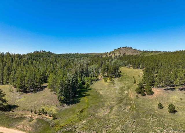 Property at 11068 Trail Creek Rd, Divide, CO 80814
