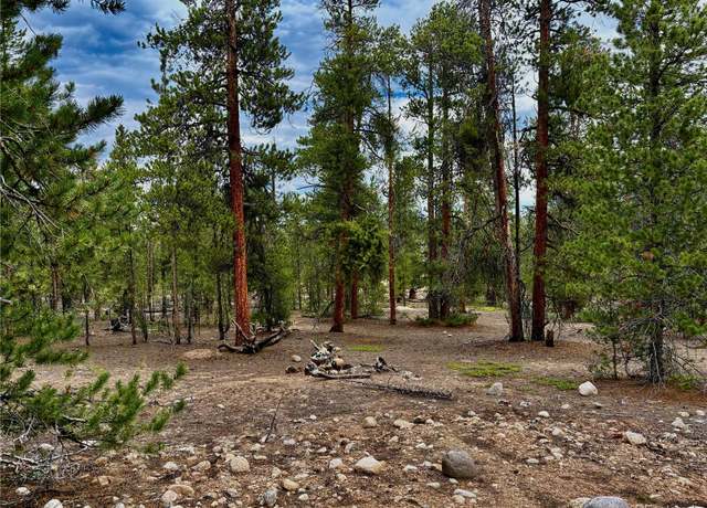 Property at 331 & 351 Mt Massive Rd, Twin Lakes, CO 81251