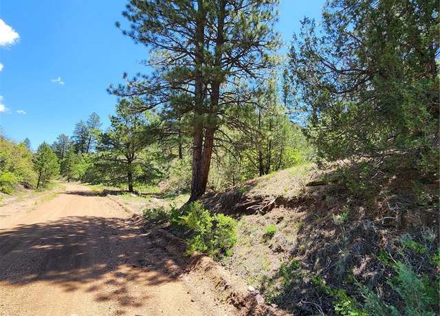 Property at 102 Kevin Dr, Cotopaxi, CO 81223