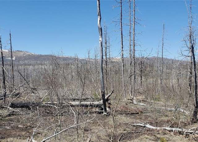 Property at Lot 1667 Towey Pl, Fort Garland, CO 81133