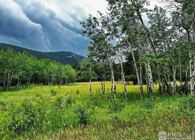 Property at 928 Ski Rd, Allenspark, CO 80510