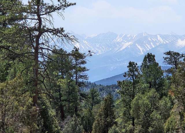 Property at 1314 Arnold Dr, Cotopaxi, CO 81223