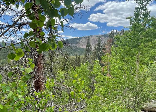 Property at 847 County Road 787, Alma, CO 80420