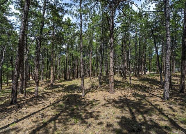 Property at 17960 Smugglers Rd, Monument, CO 80132