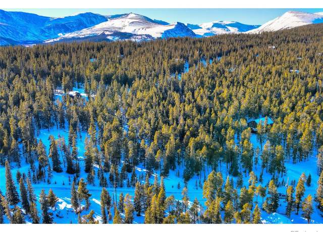 Property at 603 Bobcat Ln, Fairplay, CO 80440