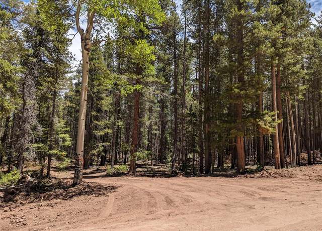 Property at 2905 Forbes Park Loop, Fort Garland, CO 81133