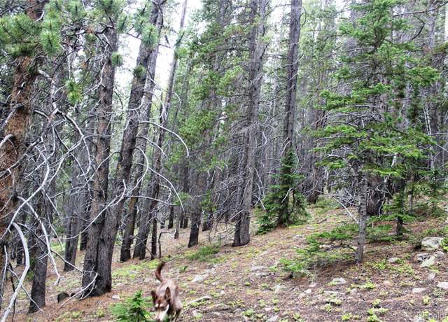 Property at Group 2-2 Lamartine Rd, Idaho Springs, CO 80452