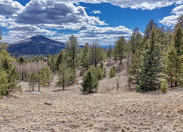 Property at 336 May Queen Dr, Cripple Creek, CO 80813