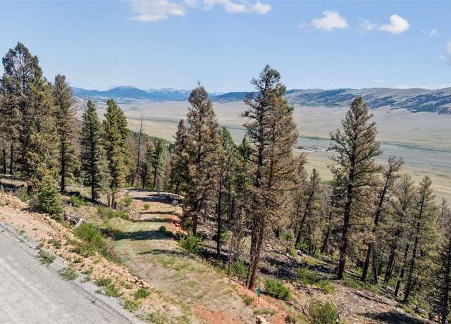 Property at 1050 Middle Fork Vis, Fairplay, CO 80440