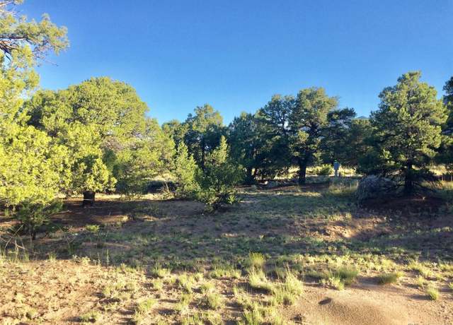 Property at 3514 Forest Trail Overlook, Crestone, CO 81131
