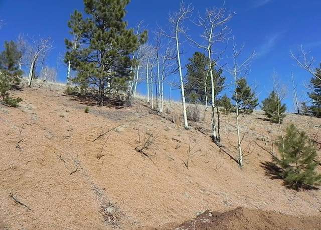 Property at 185 No Name Ln, Cripple Creek, CO 80813
