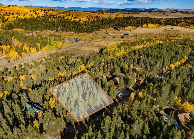 Property at 250 Ski Doo Rd, Fairplay, CO 80440