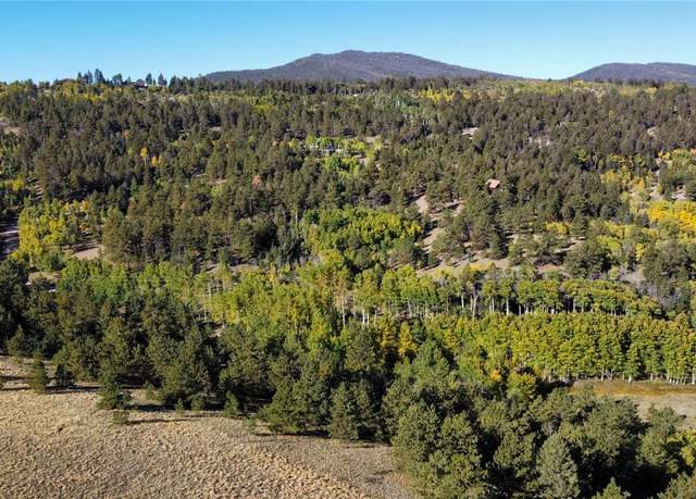 Property at 539 Tapedero Rd, Hartsel, CO 80449