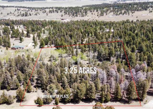 Property at 1980 Pitchfork Rd, Hartsel, CO 80449