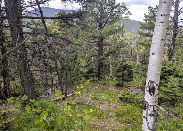 Property at 2763 Purnell Ln, Fort Garland, CO 81133