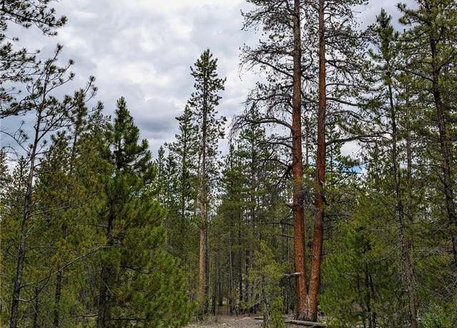 Property at 437 Juniper Dr, Twin Lakes, CO 81251