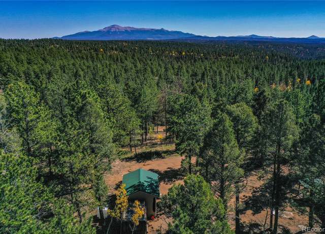 Property at 3447 Pathfinder Rd, Florissant, CO 80816