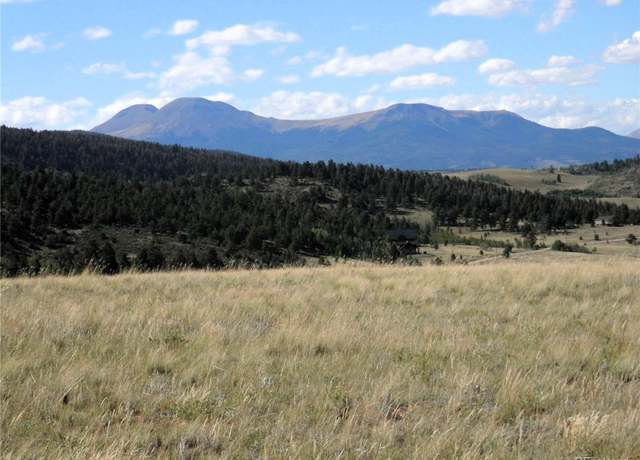 Property at 197 Stacker Dr, Hartsel, CO 80449