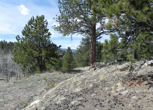 Property at 160 Broken Arrow Path, Lake George, CO 80827