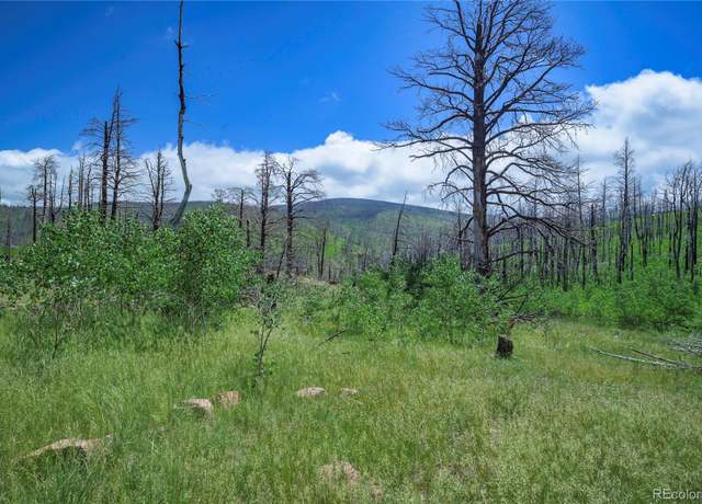 Property at 1185 Bechtel Pl, Fort Garland, CO 81133
