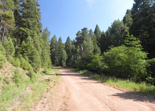 Property at 13175 Spruce Creek Cir, Larkspur, CO 80118