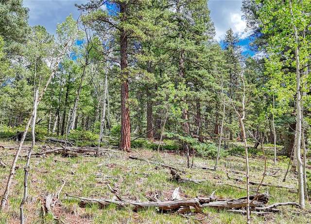 Property at 94 E Mariposa Cir, Cripple Creek, CO 80813