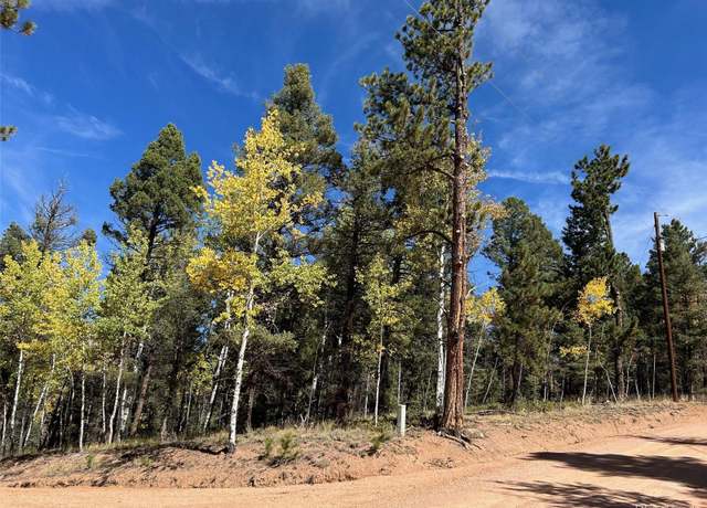 Property at 643 Pinewood Rd, Florissant, CO 80816