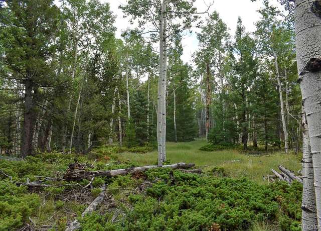Property at 205 Timberline Dr, Guffey, CO 80820