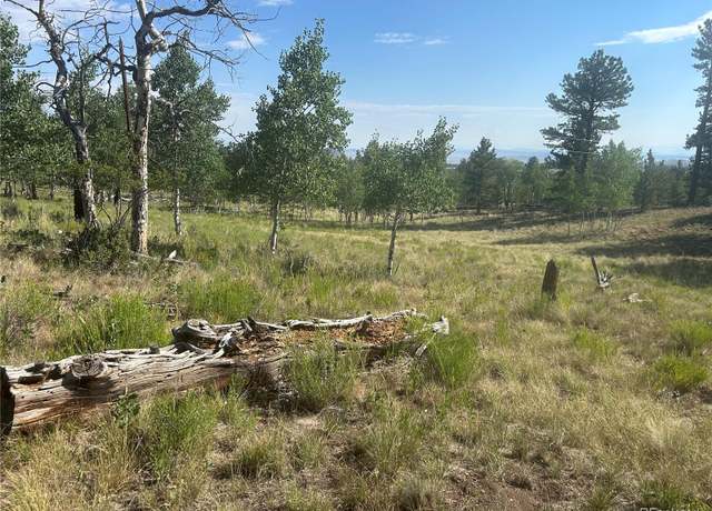 Property at 3361 Singletree Rd, Hartsel, CO 80449