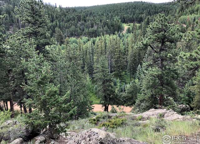 Property at 0 Cold Springs Dr, Nederland, CO 80466