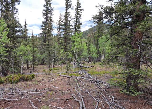 Property at 256 Bear Way, Como, CO 80432
