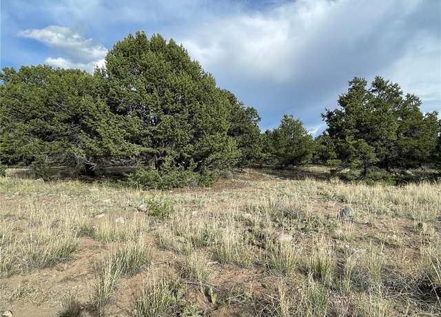 Property at 3383 Genial Way, Crestone, CO 81131