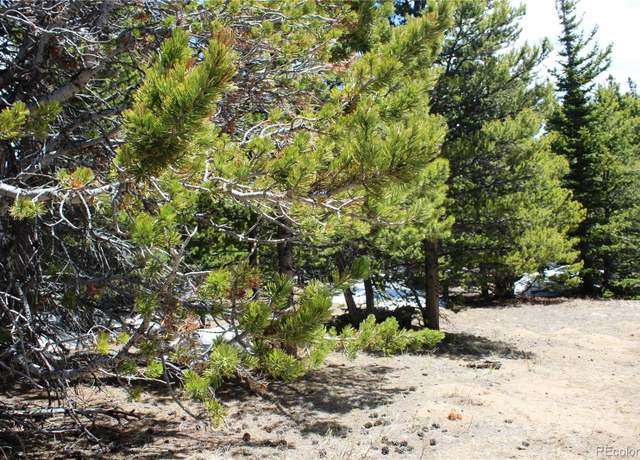 Property at Group 11 Lamartine Rd, Idaho Springs, CO 80452