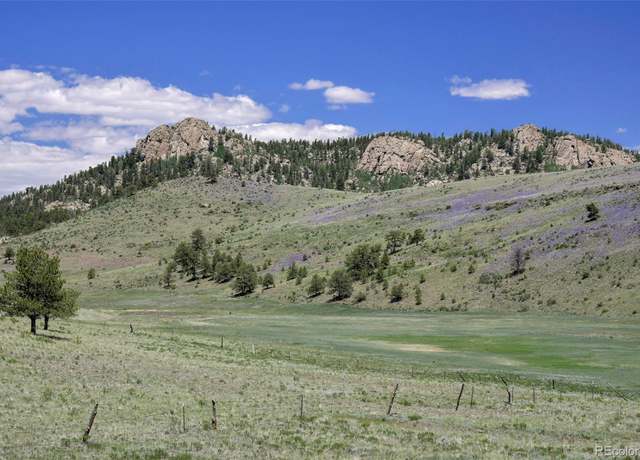 Property at 294 Wrights Ln, Guffey, CO 80820