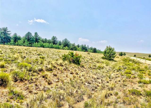 Property at 887 Superstition Trl, Hartsel, CO 80449