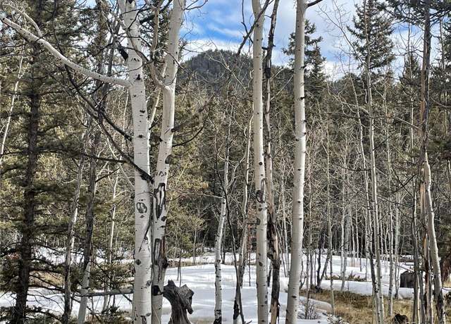 Property at 80 Haida Way, Jefferson, CO 80456