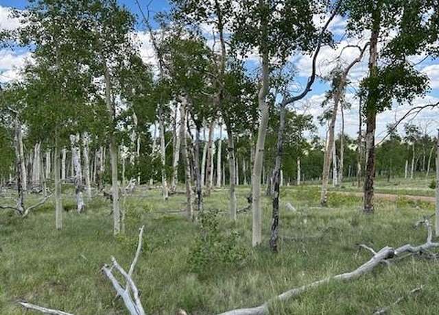 Property at 807 Bolster Dr, Hartsel, CO 80449