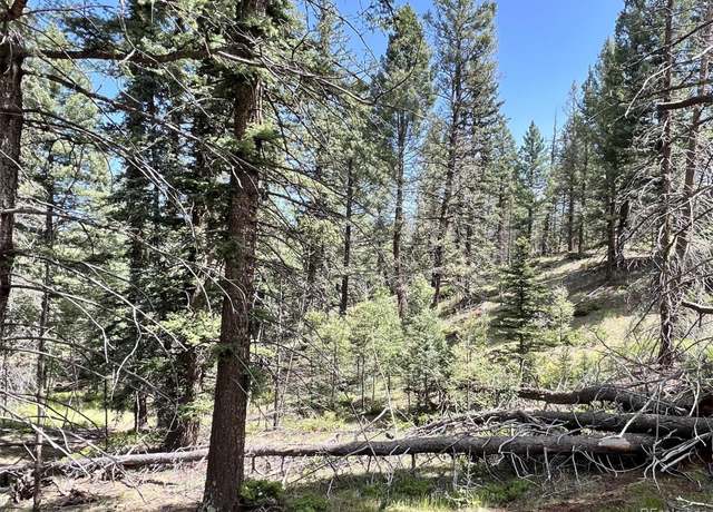 Property at 437 Sunset Ln, Cripple Creek, CO 80813