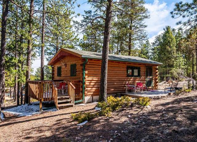 Property at 33885 La Plata Ln, Pine, CO 80470, 1 bed, 1 bath