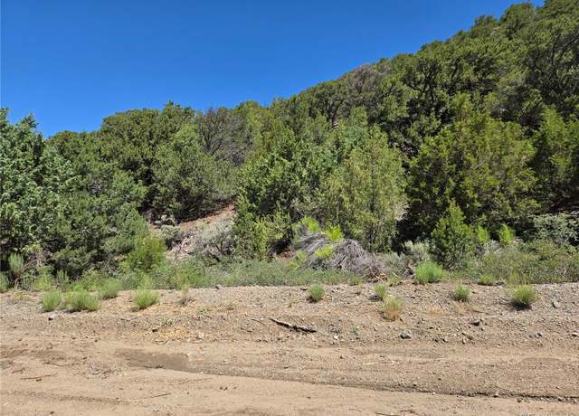 Property at Lot 5046 Joy Rd, Fort Garland, CO 81133
