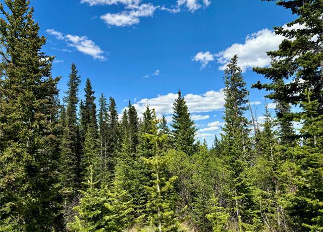 Property at 632 El Lobo Ln, Fairplay, CO 80440