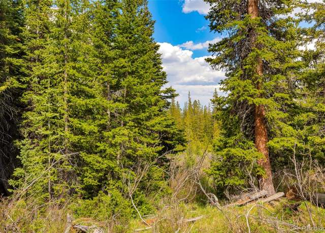 Property at 632 El Lobo Ln, Fairplay, CO 80440