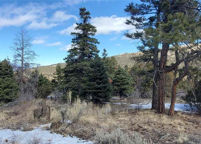 Property at 2728 Warfield Rd, Fort Garland, CO 81133