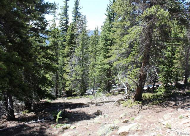 Property at Group 6 Lamartine Rd, Idaho Springs, CO 80452