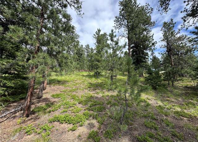 Property at 116 Happy Vly, Manitou Springs, CO 80829