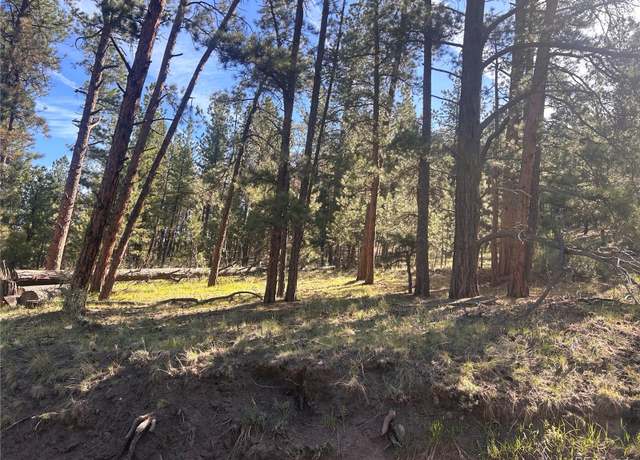 Property at Cr-68, Bailey, CO 80421