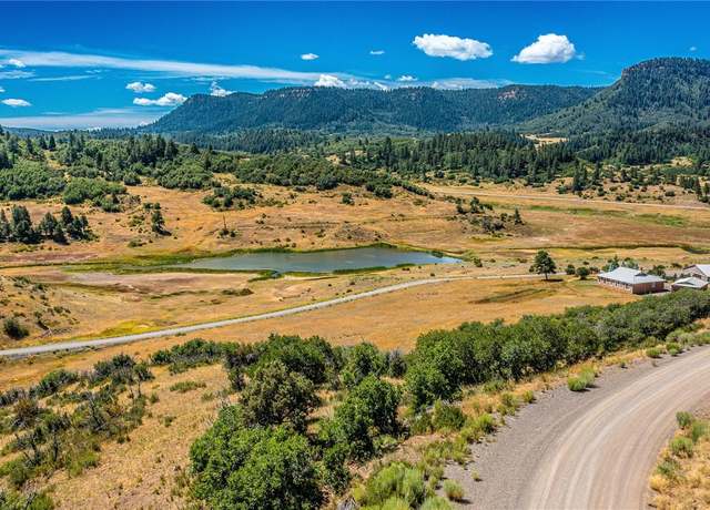 Property at 646 Henry's Lake Dr, Chromo, CO 81128