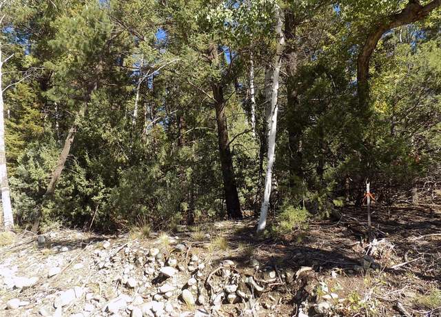 Property at Zapata Ct, Mosca, CO 81146