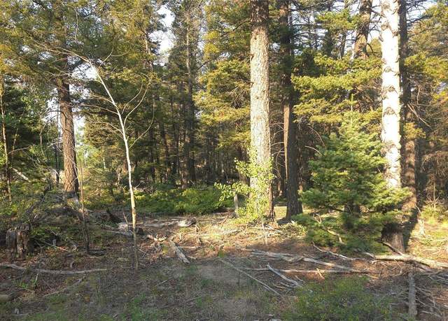 Property at Lot 5768 Clawson Rd, Fort Garland, CO 81133