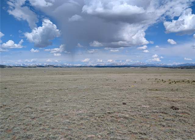 Property at 1920 Badger Basin Rd, Hartsel, CO 80449